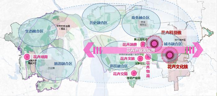 维扬区文化局发展规划揭晓，塑造文化新篇章